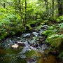 <palign=center> Parc national La Mauricie, sentier Lac-du-Fou